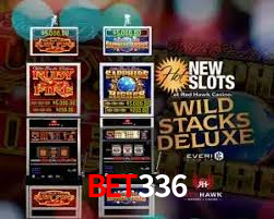 Premium Interface bet336
