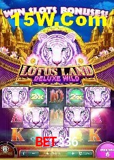 Login Seguro bet336